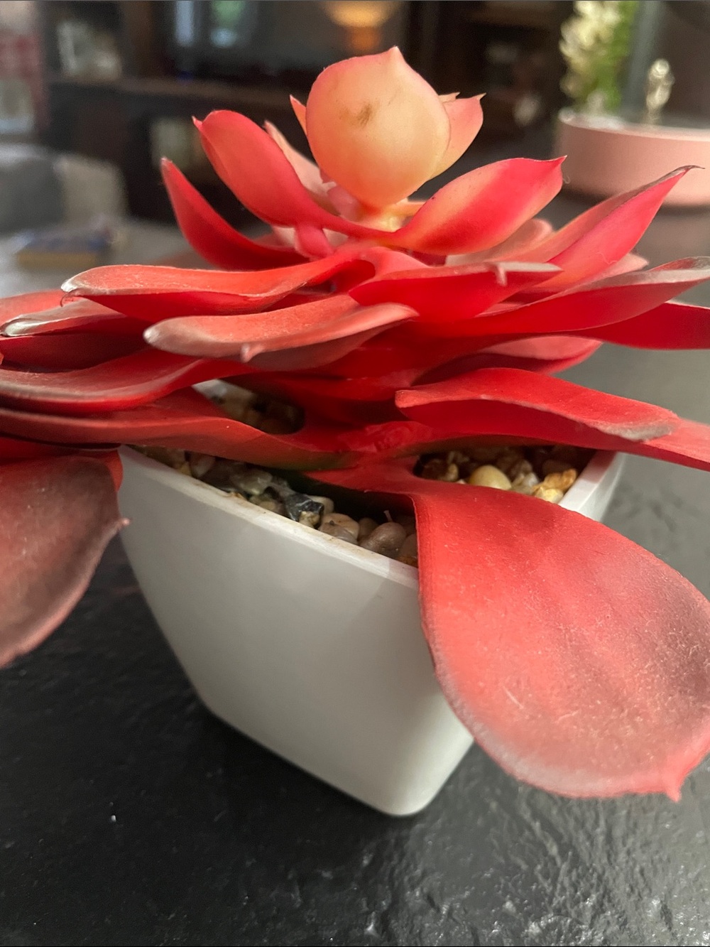 Red Faux Succulent Pair in White Ceramic Pots - Home Accents - Picture 5 of 6